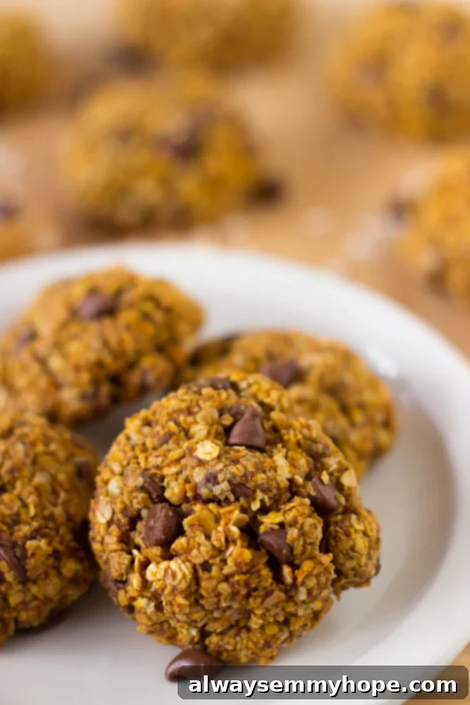 These Pumpkin Breakfast Cookies are super tasty, gluten free and vegan! They make a quick and easy breakfast on the go. Close up of gluten-free vegan pumpkin breakfast cookies on a white plate, highlighting their perfect golden-brown finish.