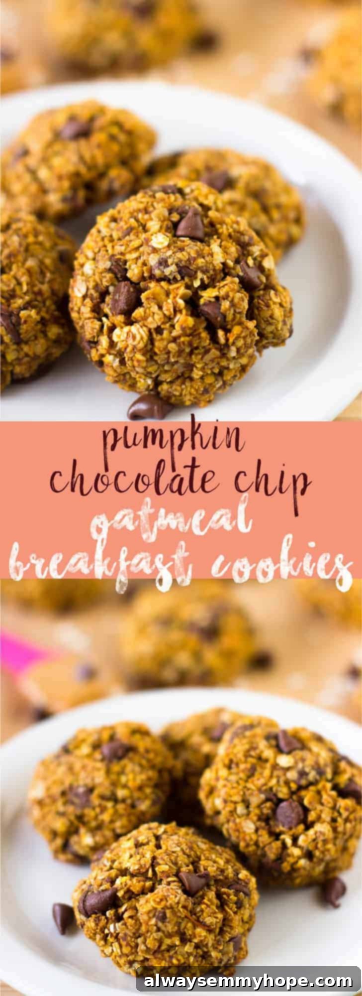 These Pumpkin Breakfast Cookies are super tasty, gluten free and vegan! They make a quick and easy breakfast on the go. These Pumpkin Chocolate Chip Oatmeal Breakfast Cookies are incredibly healthy and delicious, making them perfect for breakfast! They're super tasty, gluten free, and vegan, offering a wholesome start to your day.