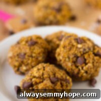 Pumpkin Chocolate Chip Oatmeal Breakfast Cookies 3 A white plate containing breakfast cookies.