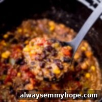 ladle spooning some chili out of a slow cooker of chili
