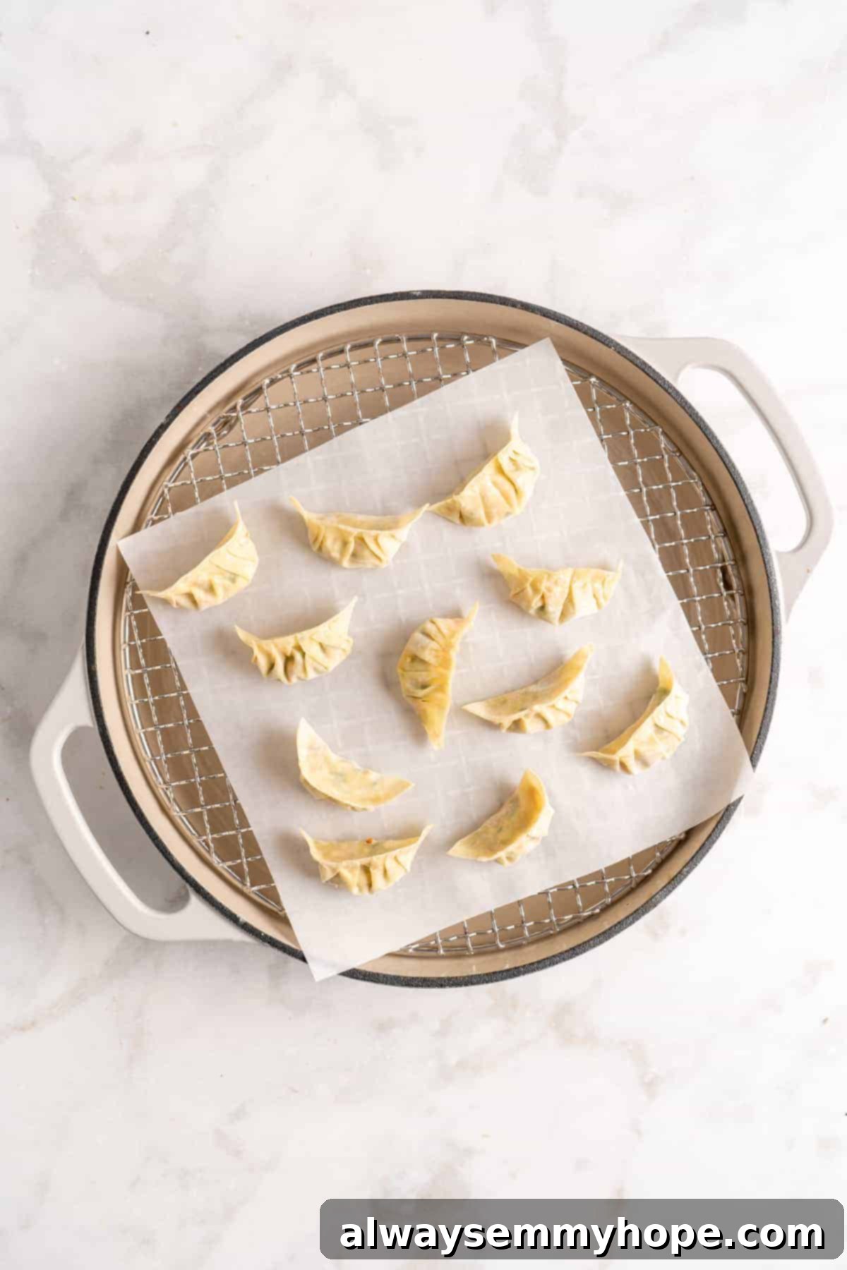 Step-by-step instructions on how to make vegan potstickers at home! These Chinese dumplings are filled with tofu and veggies. So good! Overhead view of freshly assembled vegan Chinese dumplings neatly arranged within a traditional bamboo steamer, ready for cooking.