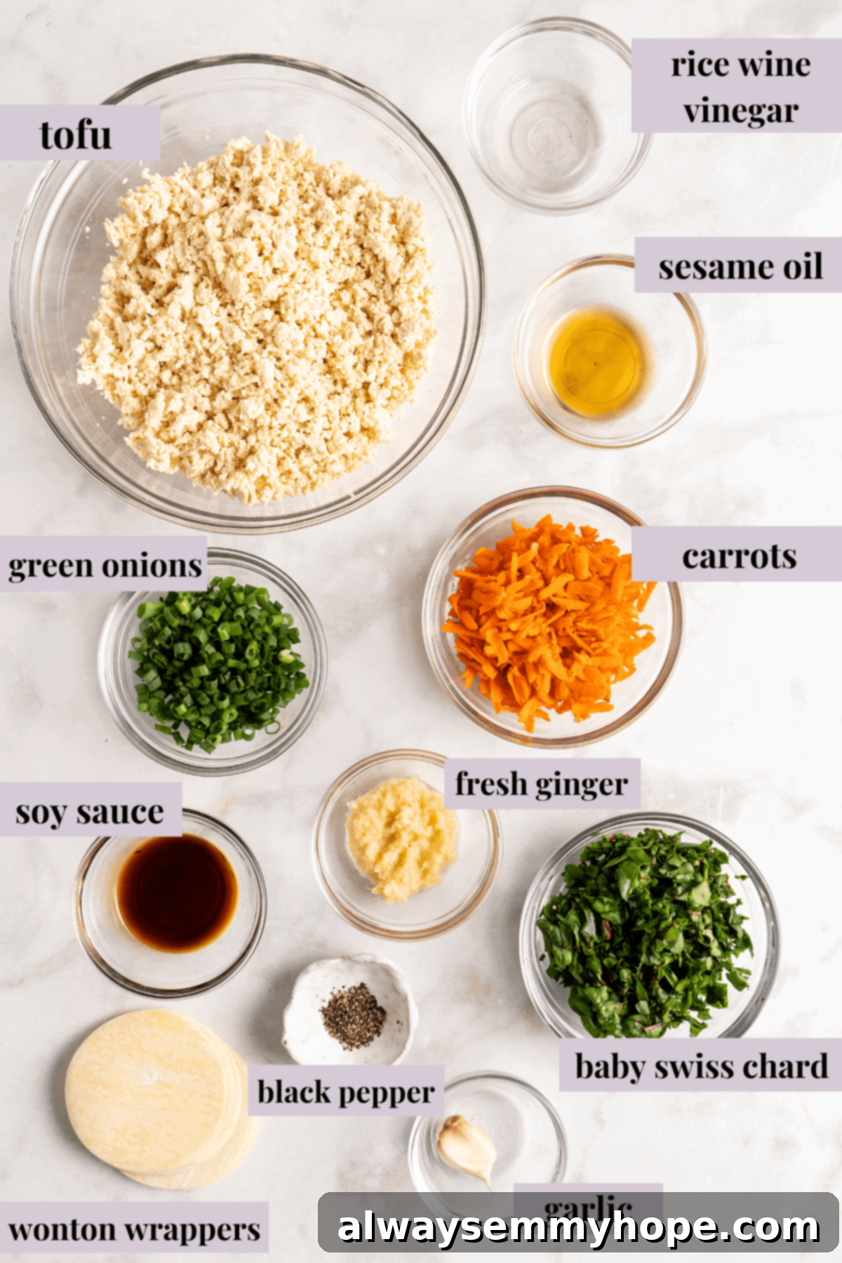 Step-by-step instructions on how to make vegan potstickers at home! These Chinese dumplings are filled with tofu and veggies. So good! Overhead view of vibrant, fresh ingredients for vegan potstickers, including grated carrots, chopped Swiss chard, green onions, and pressed tofu, neatly arranged on a counter.