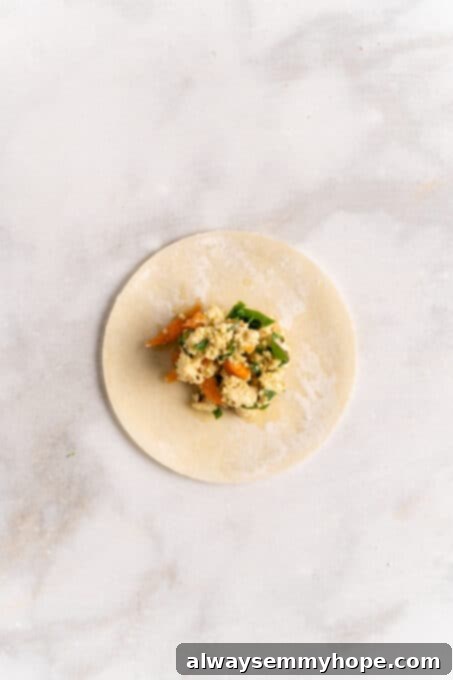 Step-by-step instructions on how to make vegan potstickers at home! These Chinese dumplings are filled with tofu and veggies. So good! Overhead view of a single round dumpling wrapper with a small amount of vegan filling placed precisely in its center, ready for folding.