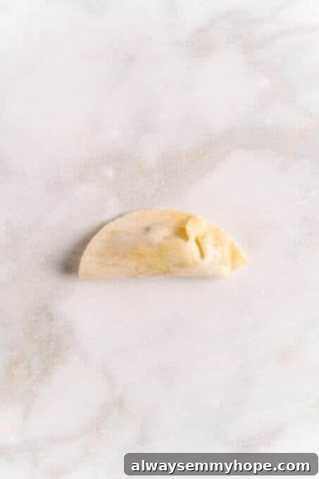 Step-by-step instructions on how to make vegan potstickers at home! These Chinese dumplings are filled with tofu and veggies. So good! Close-up overhead view illustrating the sealing process of a potsticker, with fingers gently pinching the edges together to create a secure, crimped seam.