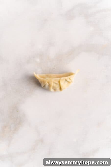 Step-by-step instructions on how to make vegan potstickers at home! These Chinese dumplings are filled with tofu and veggies. So good! A single, perfectly formed vegan potsticker resting on a marble board, showcasing its elegant half-moon shape and neatly crimped edges.