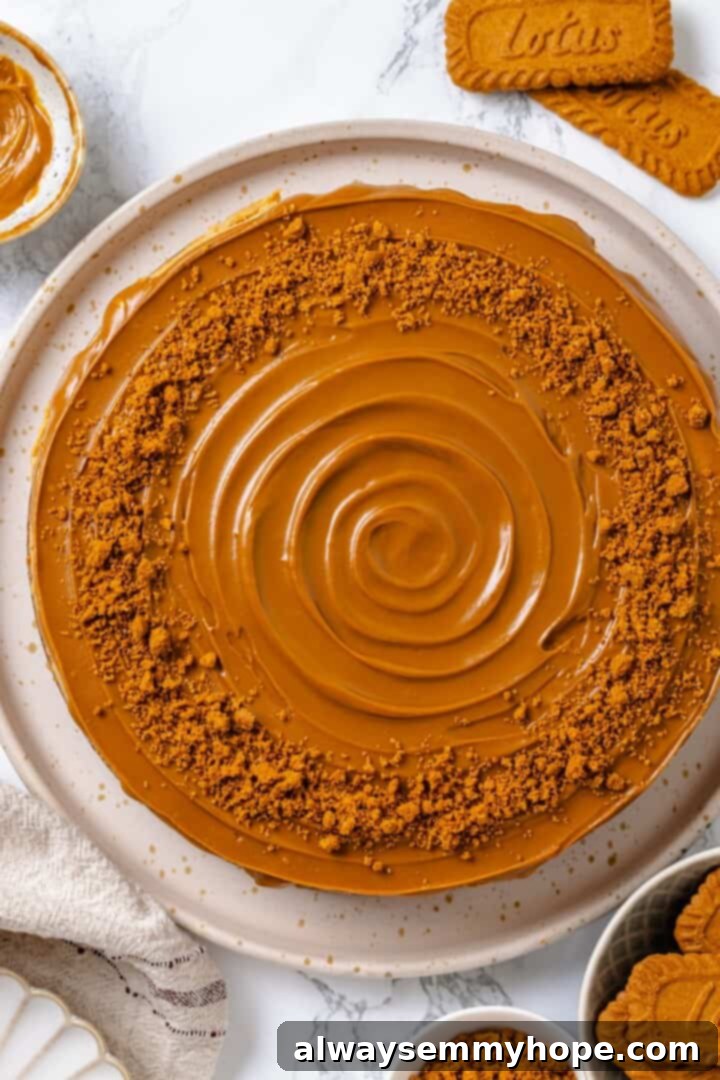 The fully decorated vegan Biscoff cheesecake with melted Biscoff topping and crushed cookies.