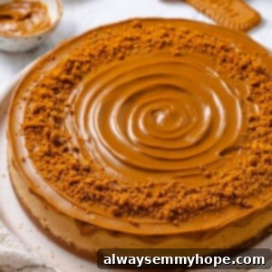 A beautifully presented whole vegan Biscoff cheesecake on a cake plate, ready to be sliced and served.