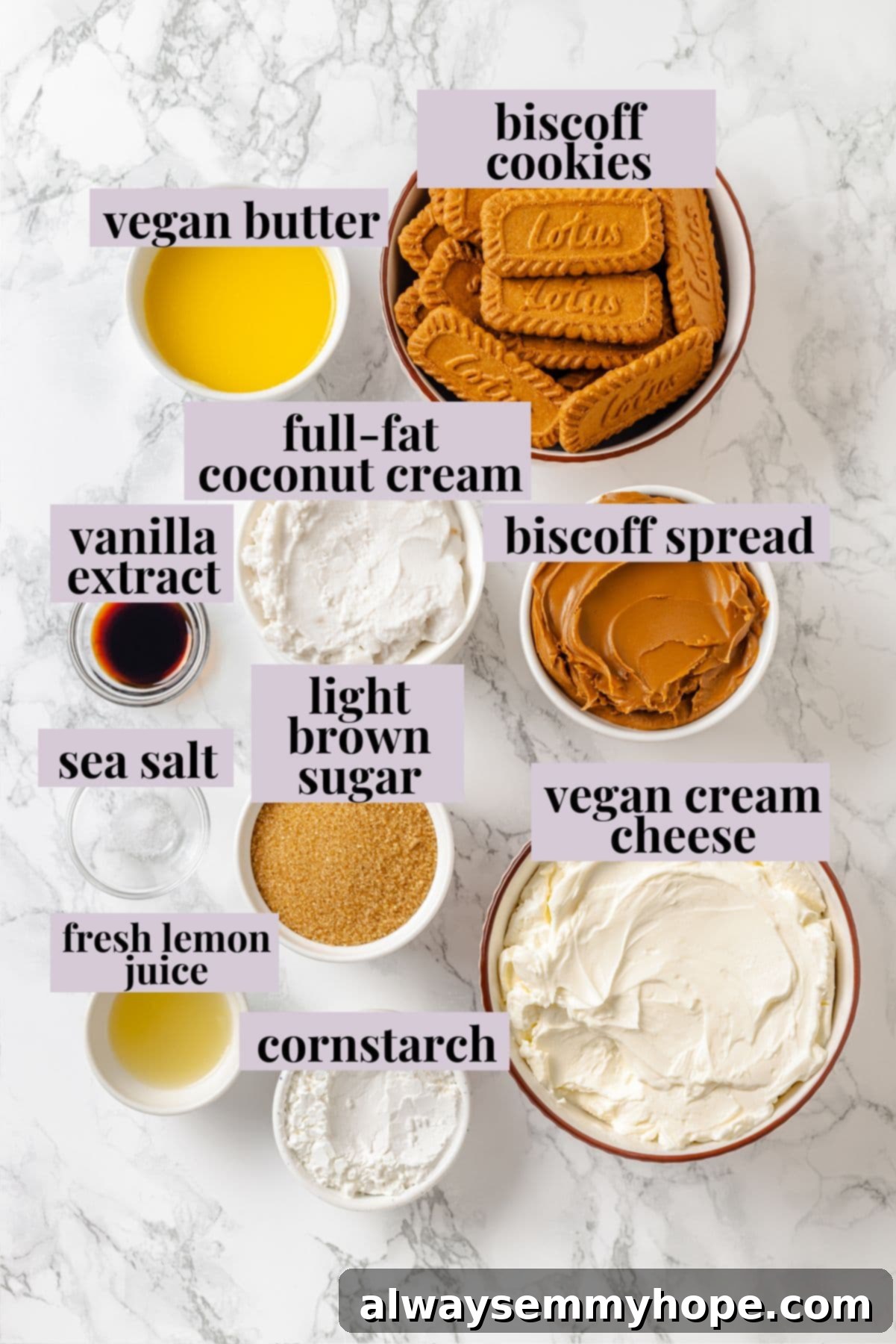 An overhead shot showcasing all the essential ingredients laid out beautifully for preparing the vegan Biscoff cheesecake.