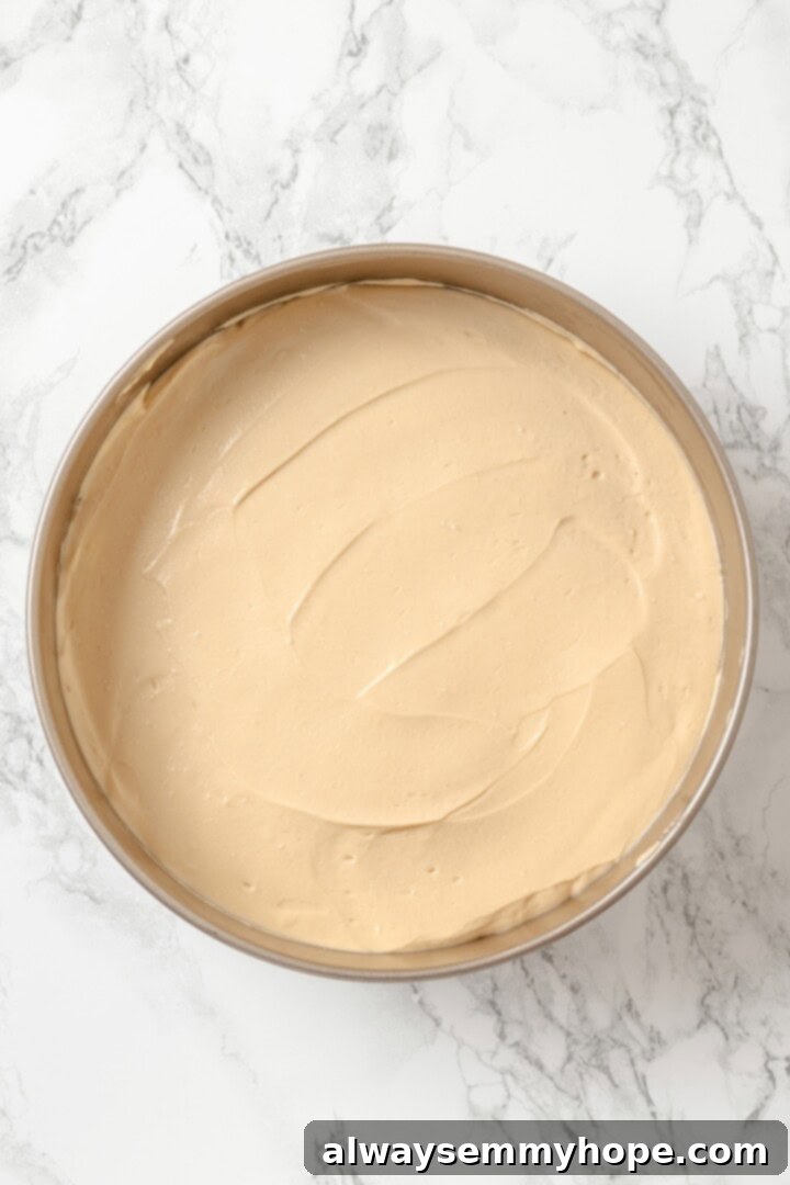 The smooth Biscoff cheesecake filling evenly spread over the cookie crust in a springform pan, ready for the oven.