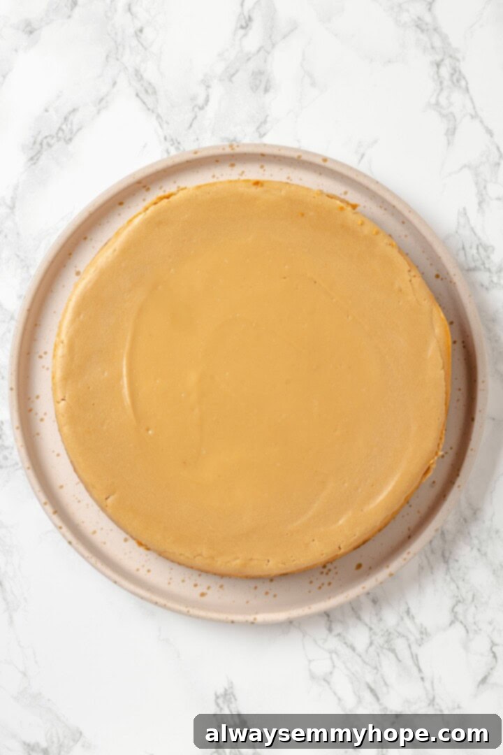 Baked Biscoff cheesecake on a cooling rack, still in its springform pan, before any topping is added.