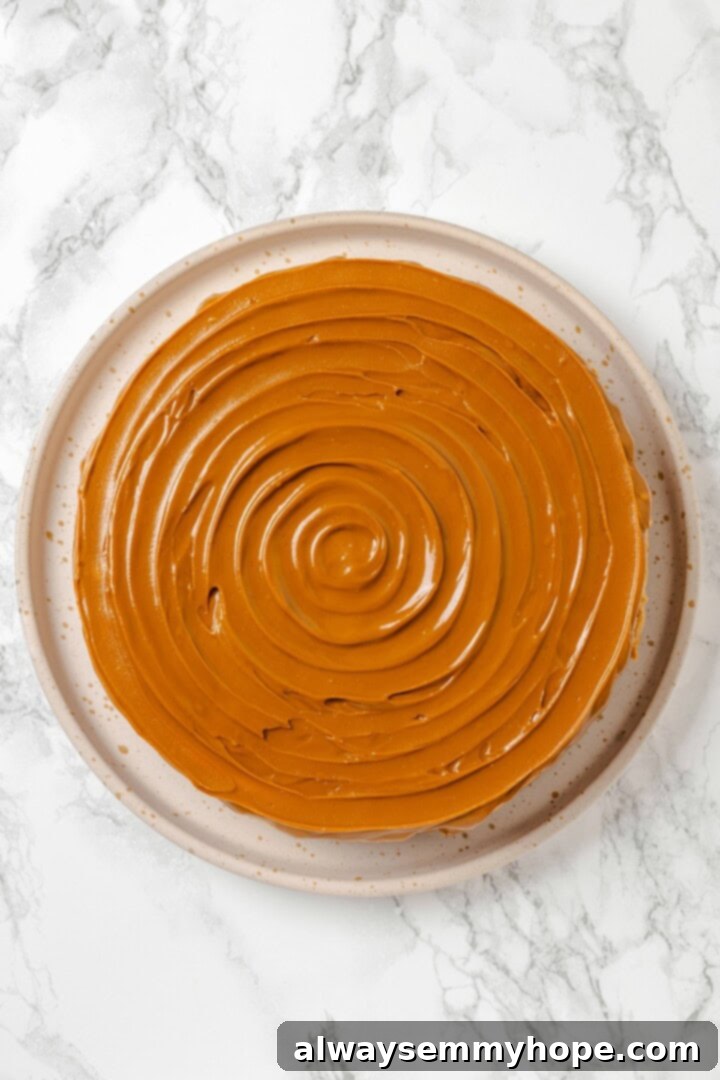 Melted Biscoff spread generously poured and swirled over the top of the chilled vegan cheesecake.