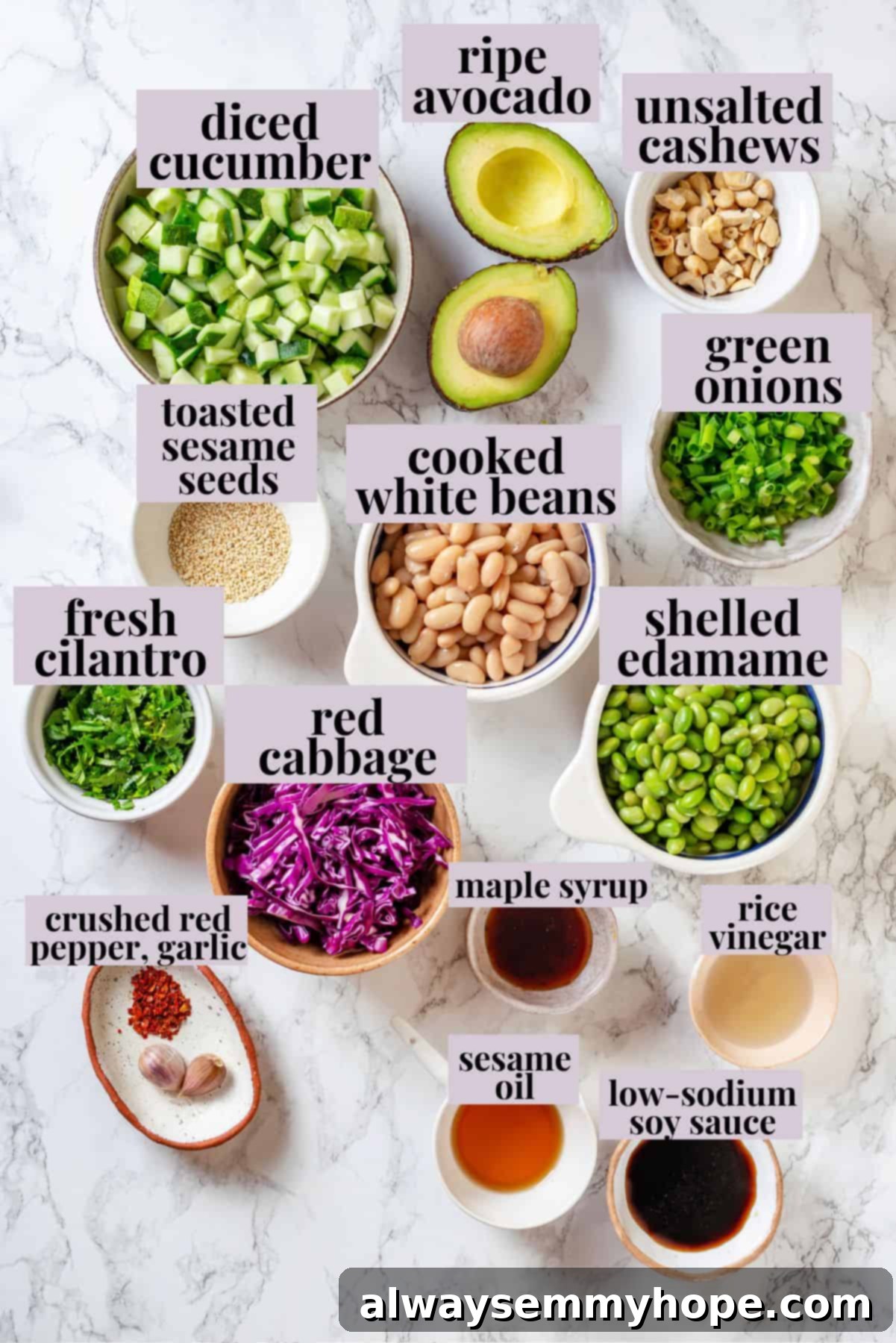 Overhead view of fresh ingredients for edamame salad laid out, including edamame, cucumber, red cabbage, and cashews.