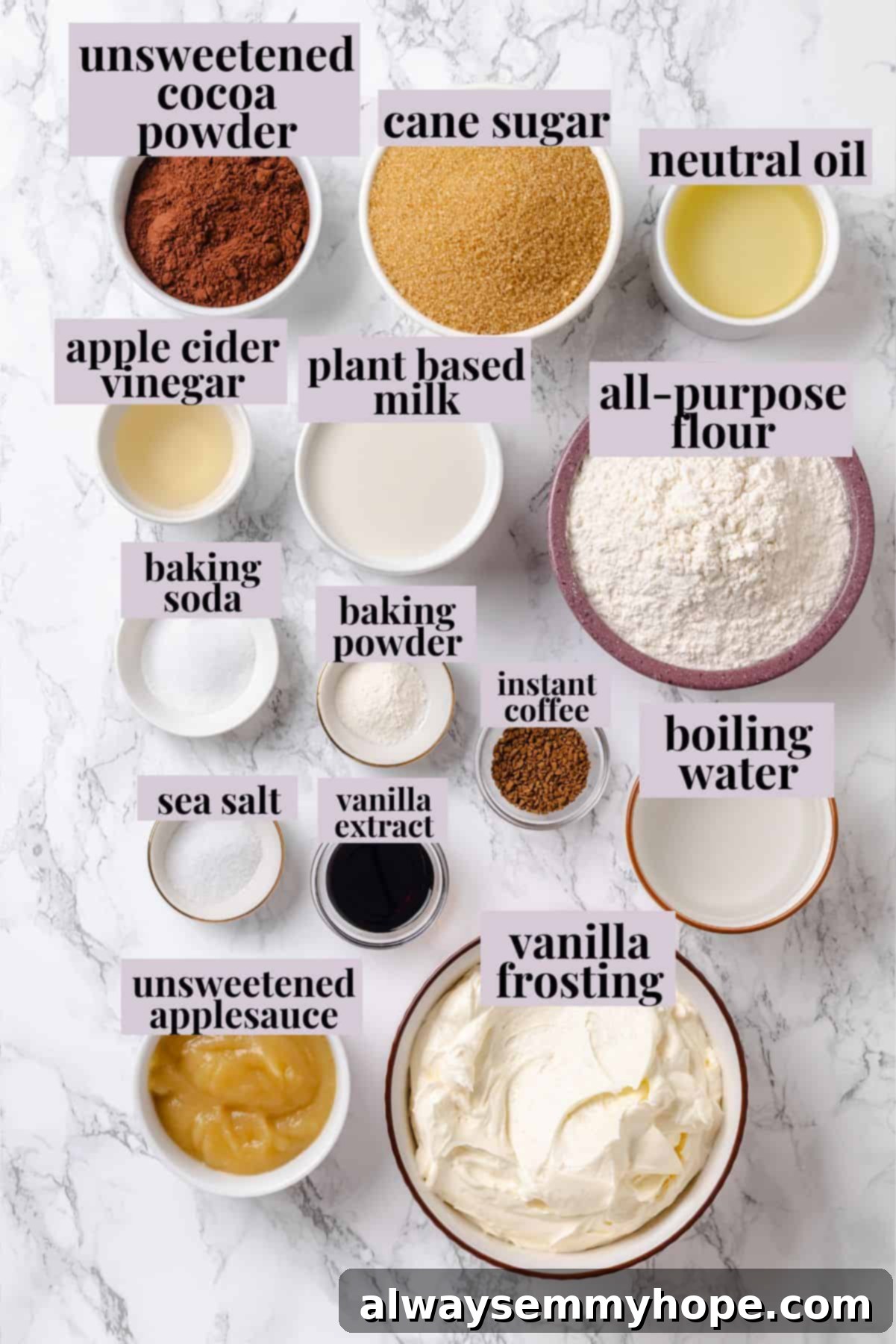 Overhead view of ingredients for Harry Potter cake laid out on a white surface, including flour, sugar, cocoa powder, oil, milk, applesauce, and vanilla extract.