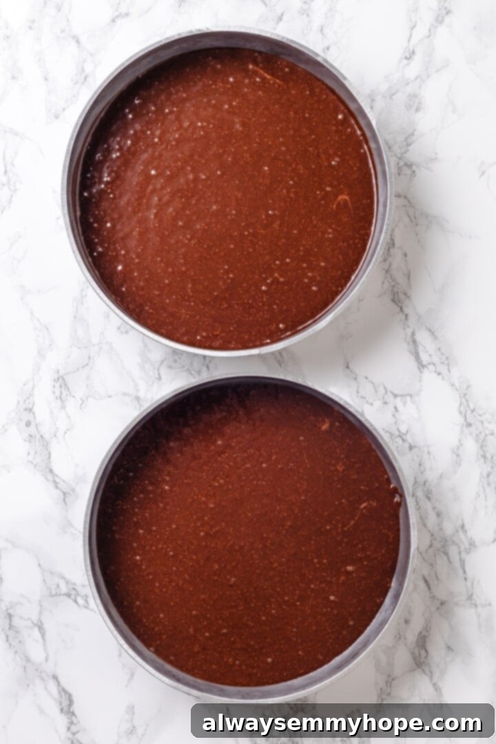 Chocolate cake batter evenly divided into two round cake pans, ready for baking.