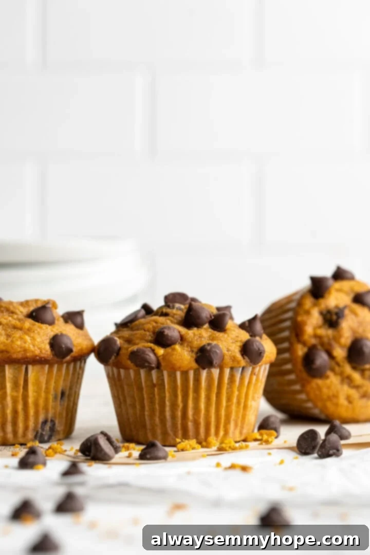 Three perfectly baked vegan pumpkin chocolate chip muffins in a row, surrounded by scattered chocolate chips, highlighting their golden brown tops.