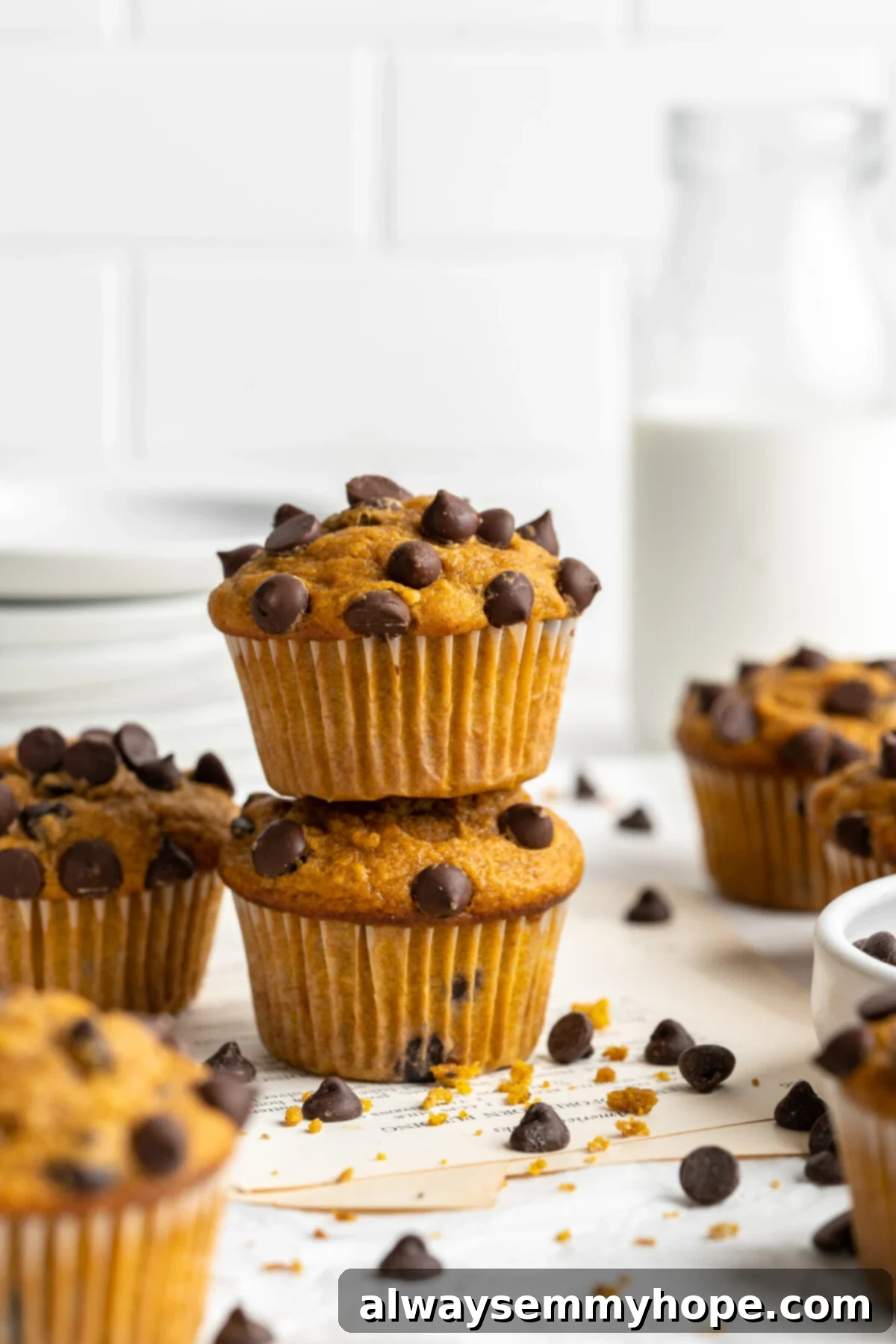 Two perfectly baked vegan chocolate chip pumpkin muffins stacked on top of each other, surrounded by chocolate chips, with a glass of non-dairy milk in the background.