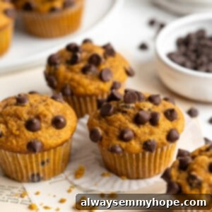 Four pumpkin chocolate chip muffins with a plate of muffins in the background, and a bowl of chocolate chips.
