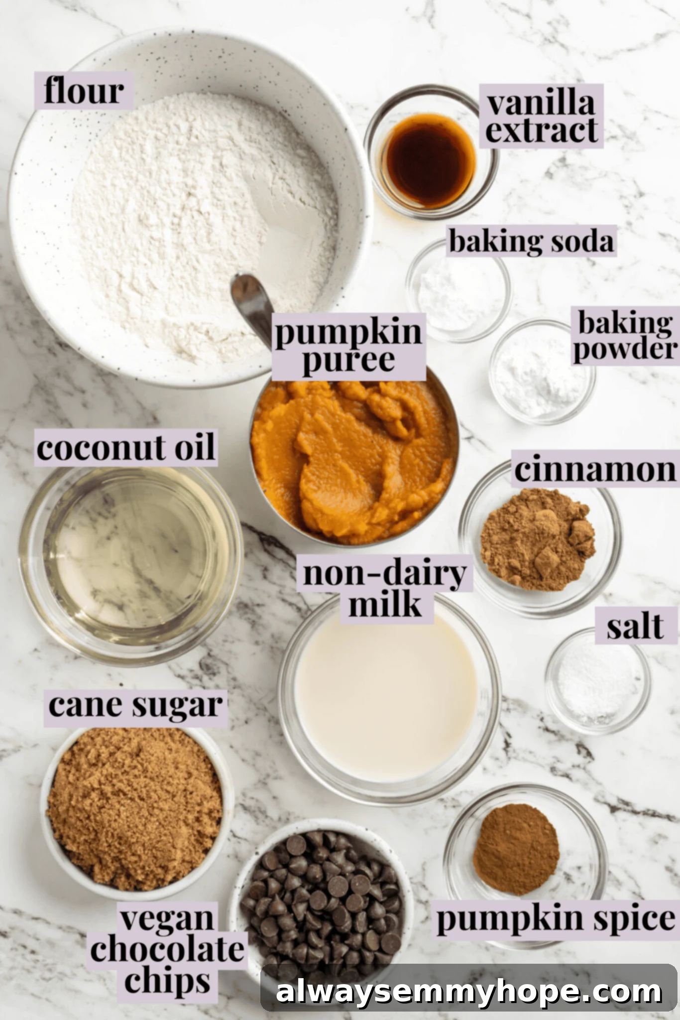 Overhead view of all the ingredients for vegan pumpkin chocolate chip muffins laid out: flour, pumpkin puree, non-dairy milk, chocolate chips, sugar, baking powder, baking soda, oil, vanilla, salt, cinnamon, and pumpkin pie spice.