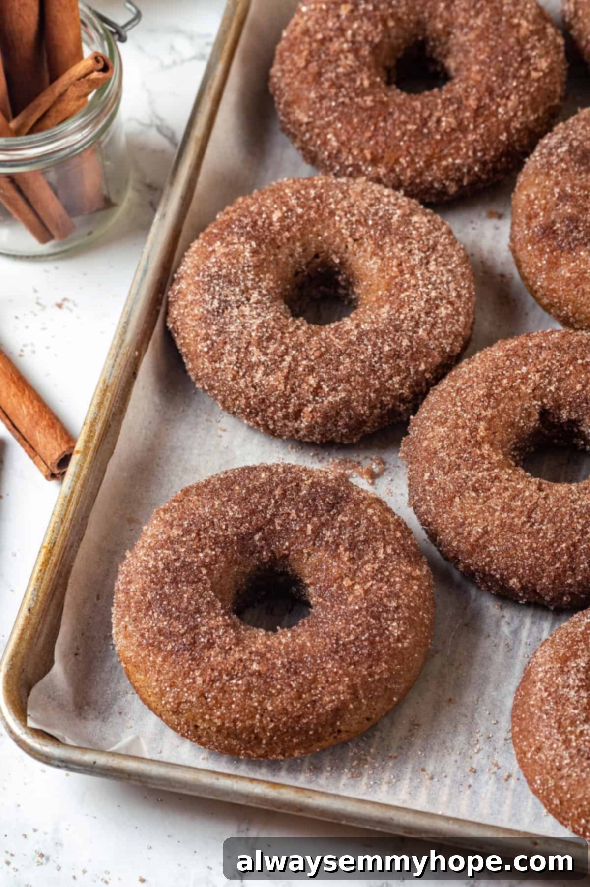 These tender cinnamon-spiced Apple Cider Donuts are baked instead of fried and made without yeast, which means they're super easy to make! Vegan baked apple cider donuts on parchment-lined pan.