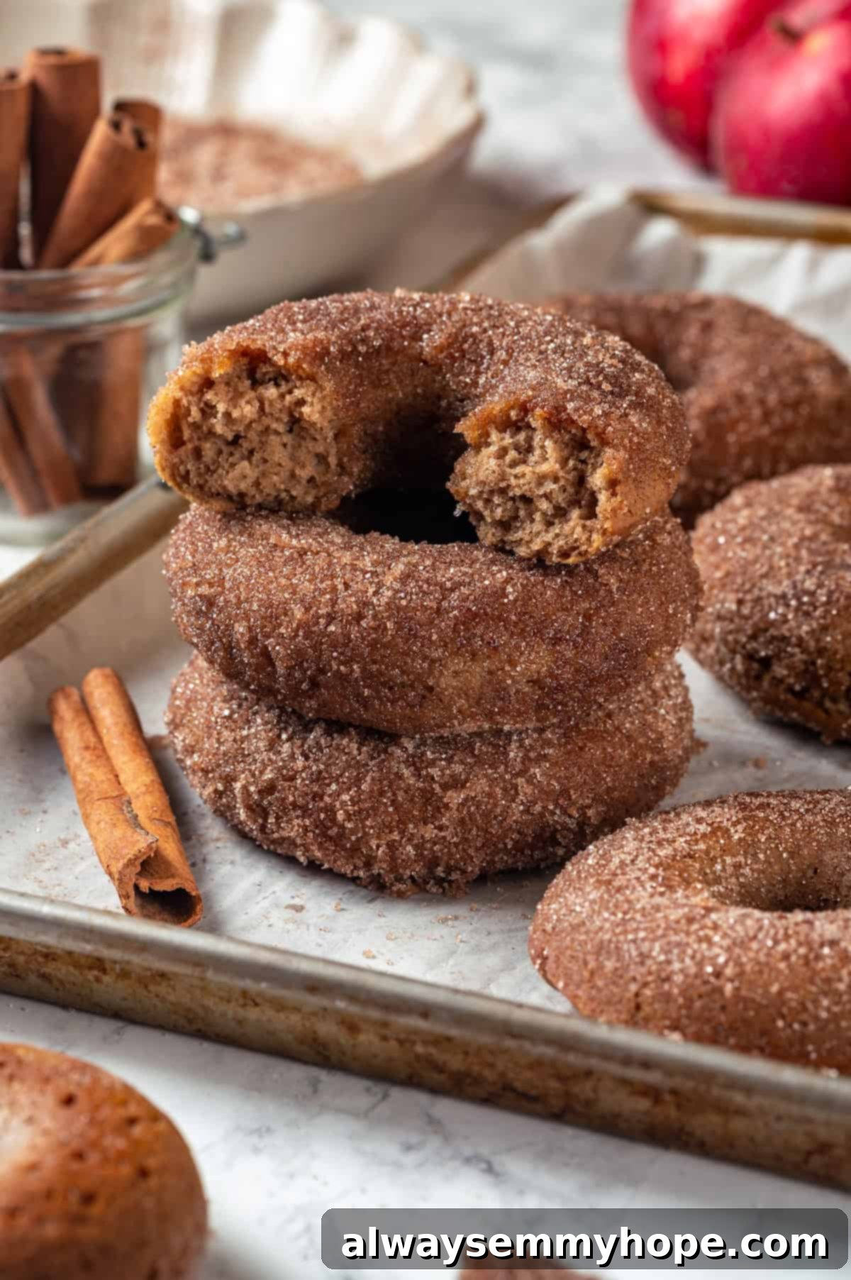 These tender cinnamon-spiced Apple Cider Donuts are baked instead of fried and made without yeast, which means they're super easy to make! Stack of 3 apple cider donuts with top donut broken in half to show tender crumb.