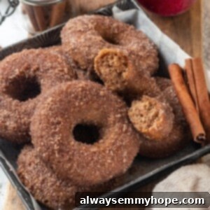 Spiced Apple Cider Baked Donuts 2 Plate of vegan apple cider donuts.