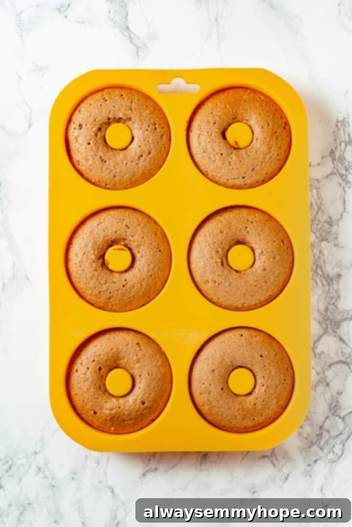 These tender cinnamon-spiced Apple Cider Donuts are baked instead of fried and made without yeast, which means they're super easy to make! Baked apple cider donuts in silicone pan.