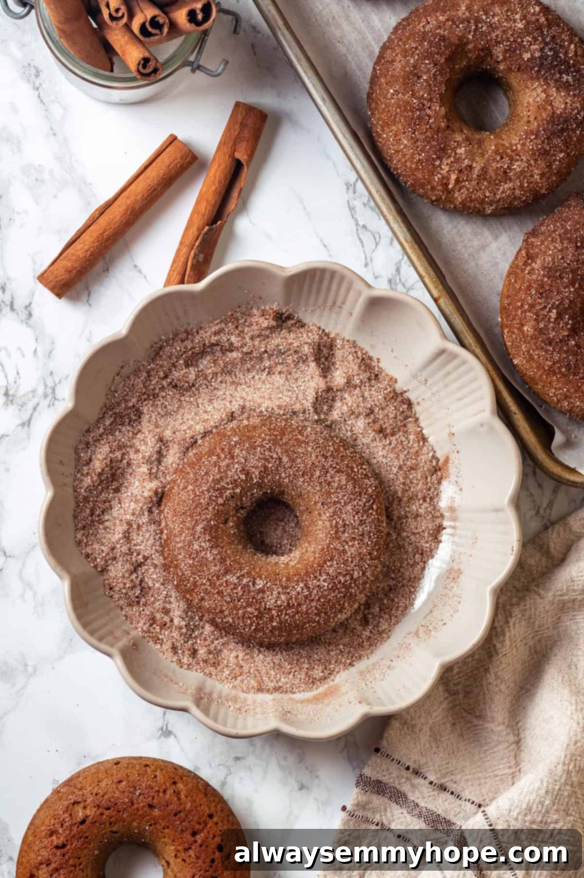 These tender cinnamon-spiced Apple Cider Donuts are baked instead of fried and made without yeast, which means they're super easy to make! Vegan apple cider donuts in plate of cinnamon sugar.
