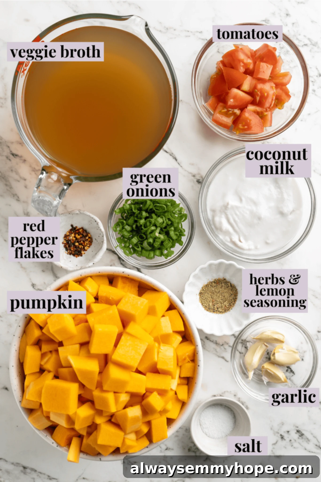 Overhead view of ingredients for creamy pumpkin soup