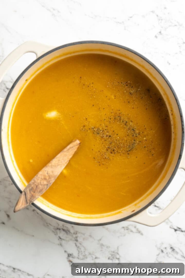 Overhead view of seasonings and coconut milk added to pot of pumpkin soup