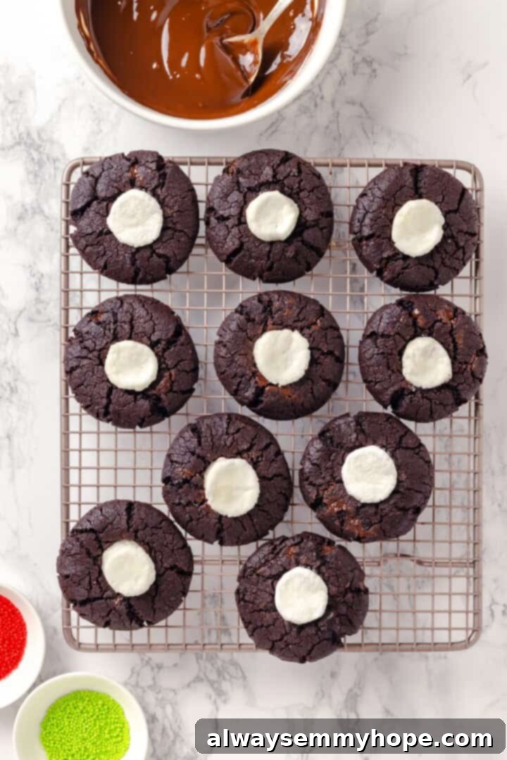Vegan hot chocolate cookies cooling.
