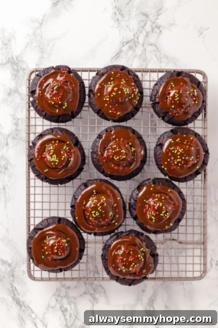 Vegan hot chocolate cookies with chocolate drizzle.