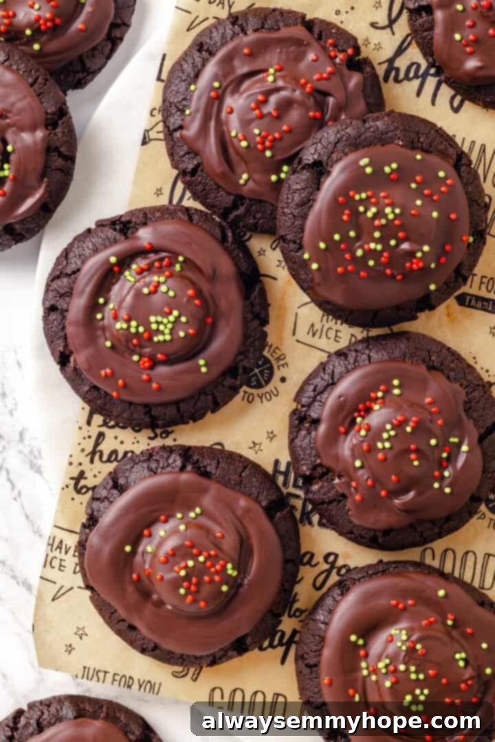 Finished vegan hot chocolate cookies.