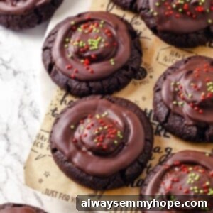 Vegan hot chocolate cookies topped with chocolate and sprinkles.