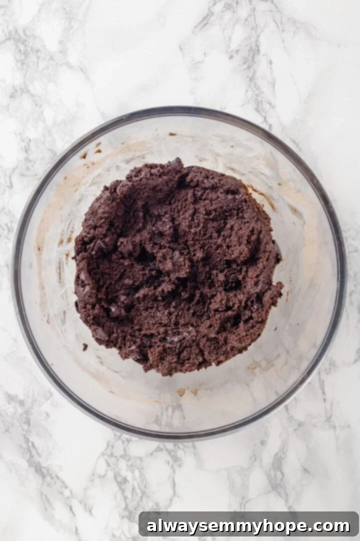 Cookie dough for vegan hot chocolate cookies.