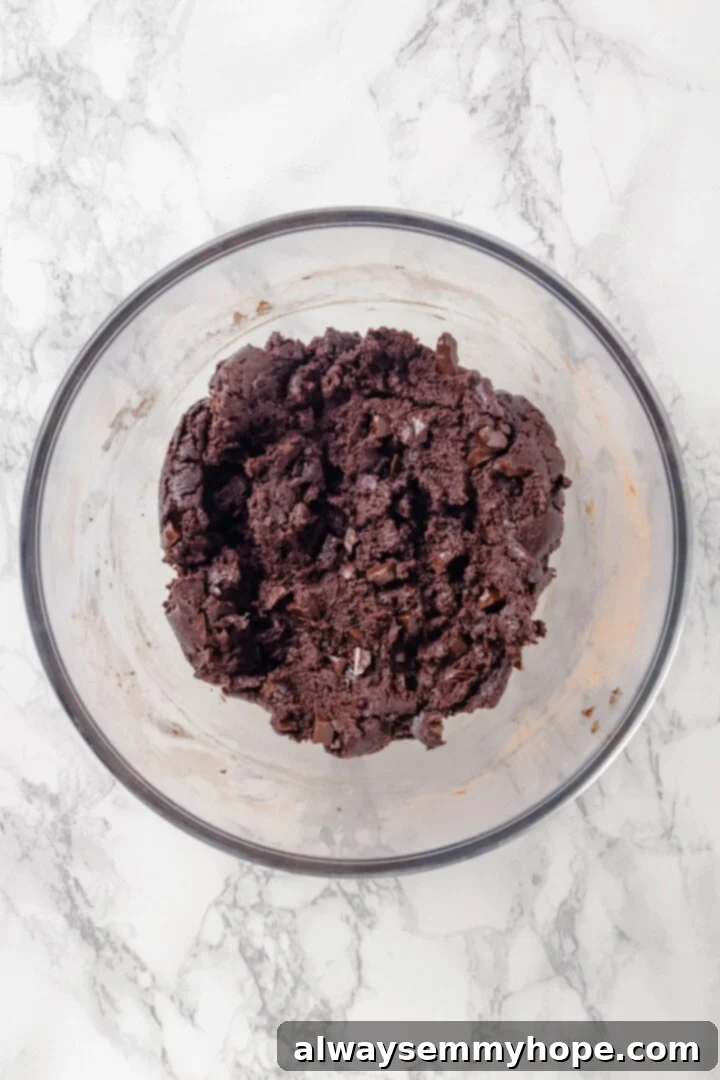 Chilled dough for vegan hot chocolate cookies.