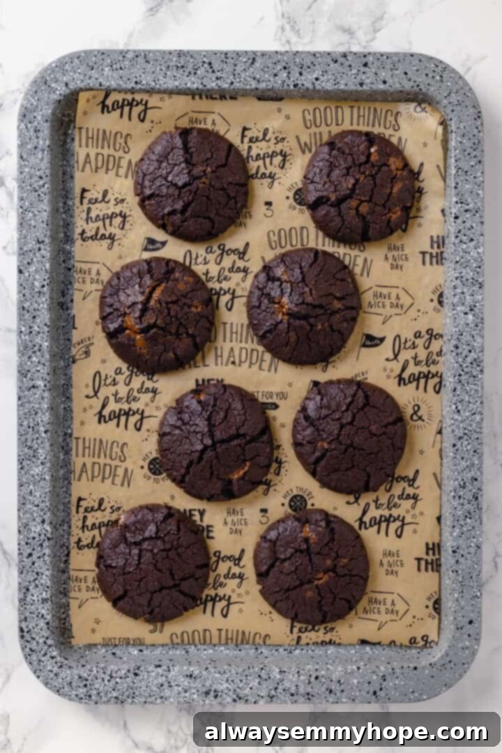 Vegan hot chocolate cookies before marshmallows.