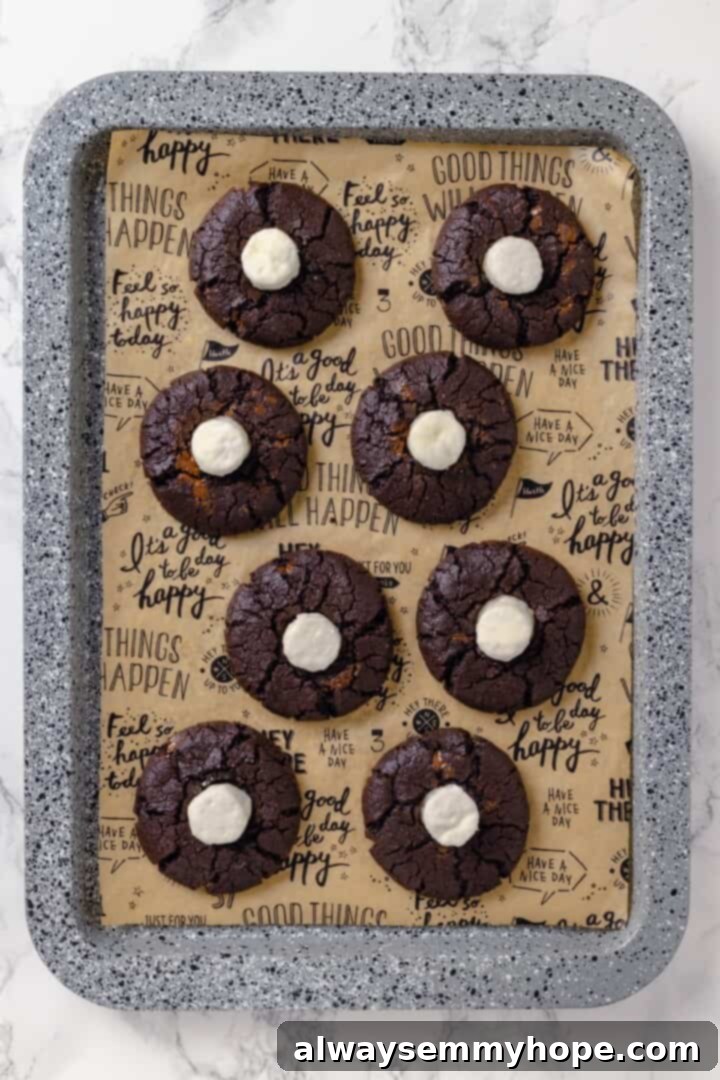 Vegan hot chocolate cookies with marshmallows.