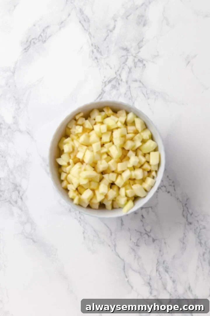Tender apples, sticky glaze, and dough that’s crisp on the outside and pillowy soft inside make this the best vegan apple fritters recipe! Bowl of carefully diced and dried apples.