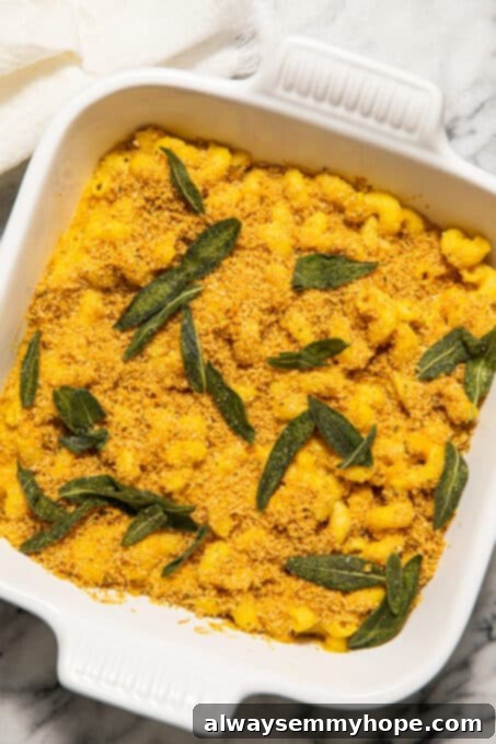 Baked butternut squash macaroni and cheese, golden brown and bubbly from the oven.