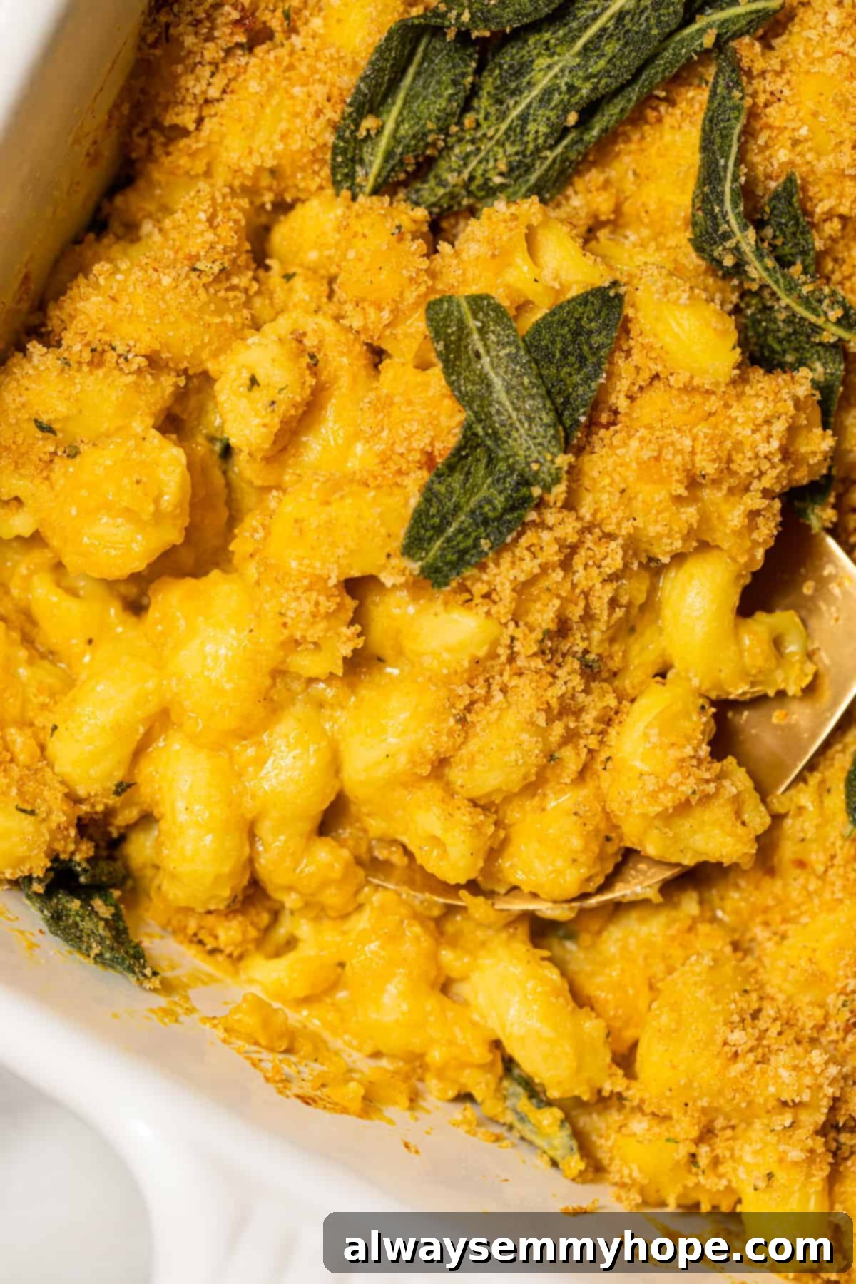 Butternut squash pasta with crispy sage leaves ready to be served.