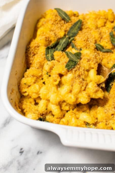 Baking dish of baked macaroni and cheese, golden and bubbly.