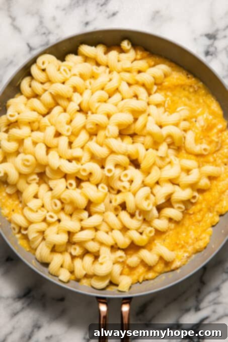 Vegan Butternut Squash Mac and Cheese 8 Butternut squash sauce with cooked pasta mixed in.