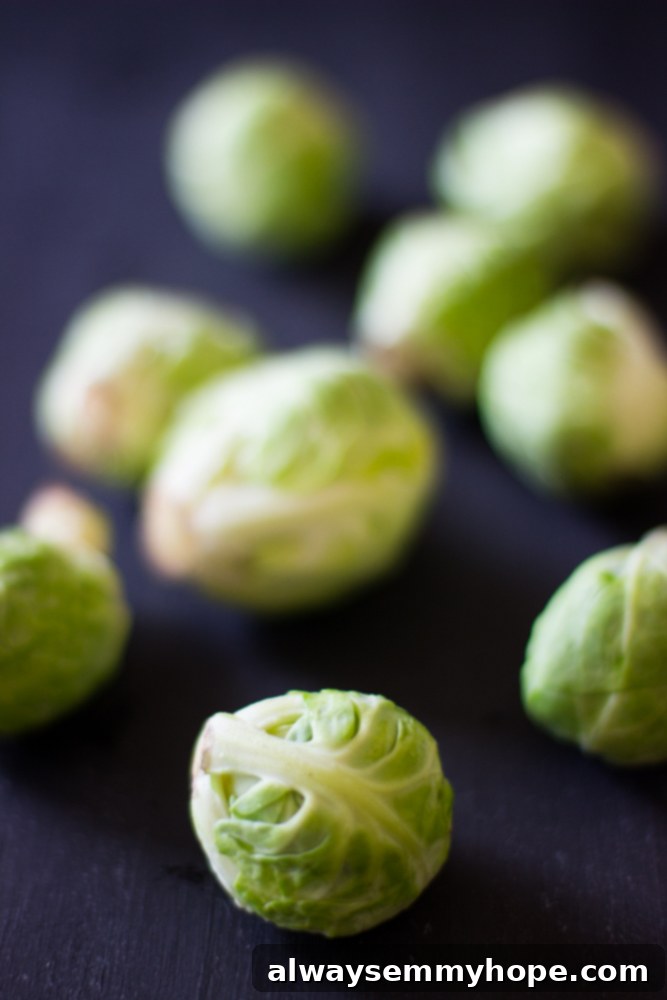 Fresh, raw brussels sprouts arranged on a dark tabletop, ready for roasting.