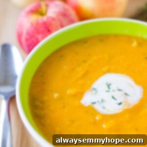 Close-up of creamy Vegan Butternut Squash and Apple Soup.