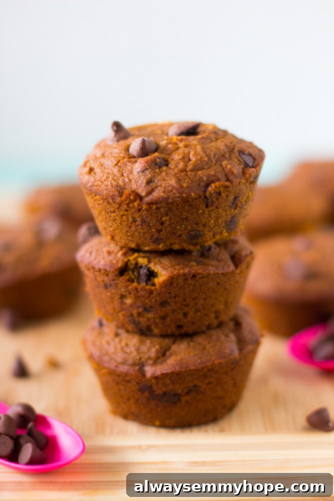 A stack of three pumpkin muffins on wooden table top. 