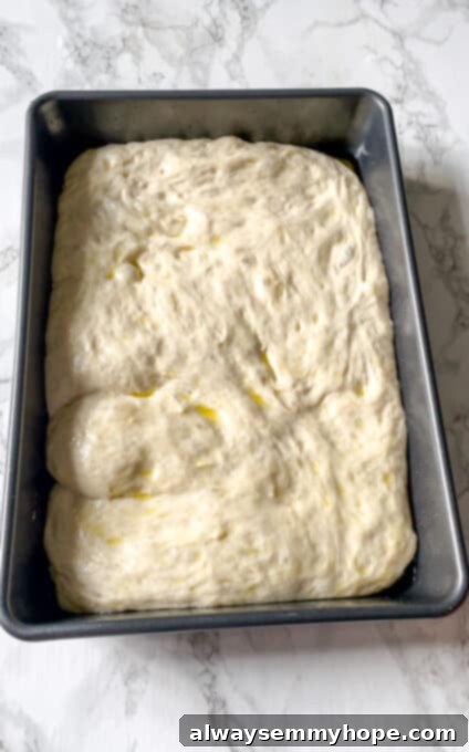 The focaccia dough fully risen and expanded in the baking pan, showing a bubbly, airy texture.