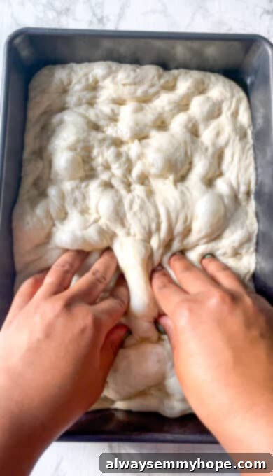 Fingers gently pressing into the risen focaccia dough to create characteristic dimples across its surface.