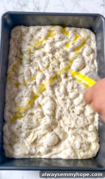 A final drizzle of extra virgin olive oil being poured over the dimpled and seasoned focaccia dough before baking.