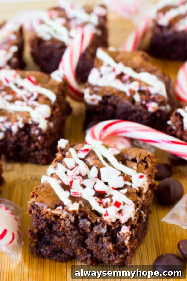 Flourless peppermint chocolate brownies on a wood table.
