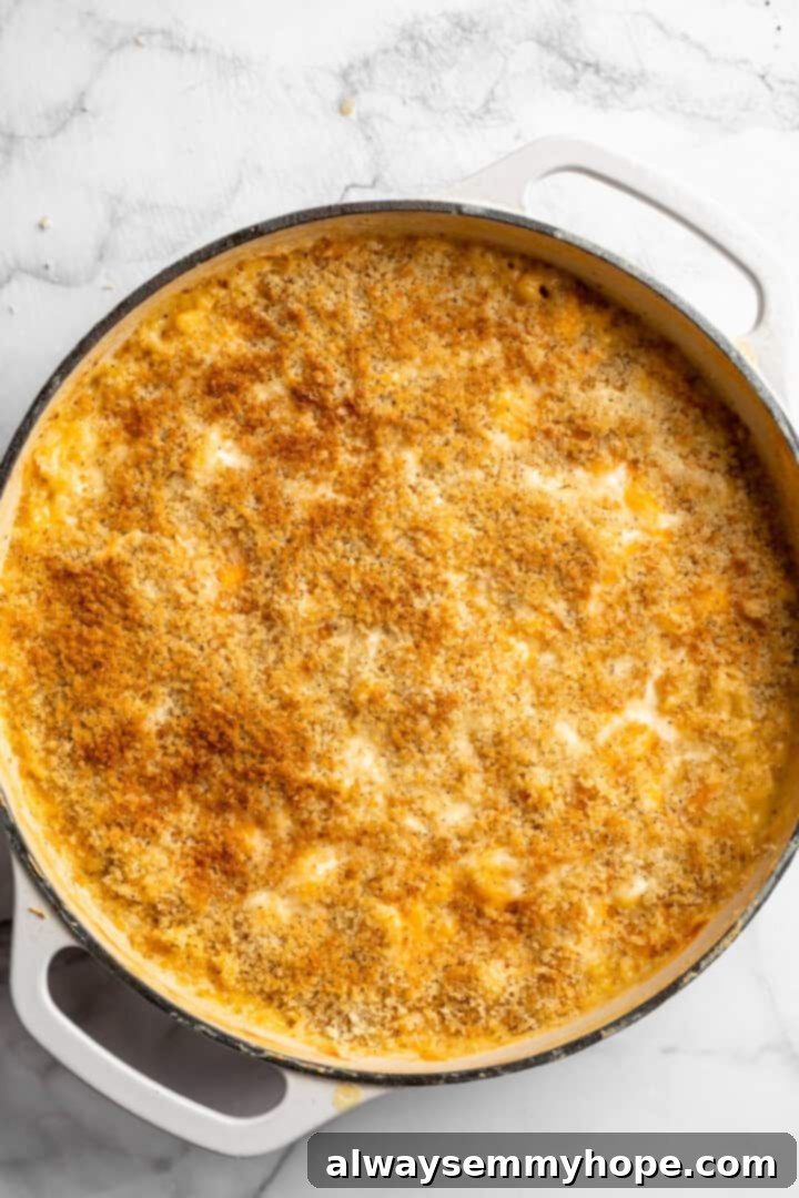 A golden-brown and bubbly 3-Cheese Vegan Mac and Cheese, freshly baked in a skillet, with a perfectly crispy panko topping.